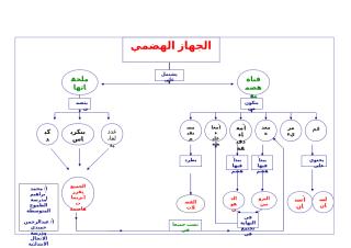 محمد إبراهيم و عبدالرحمن حميدي - الطموح و الانجال - علوم - خرائط.doc