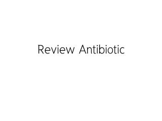 Review Antibiotic.pdf
